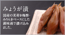 赤紫蘇