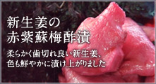 �V���I�̐Ԏ��h�~�|��