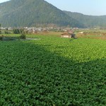 DSC00737