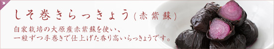 しそ巻きらっきょう(赤紫蘇)