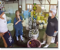 テレビ大阪 発見!!食遺産 #あなたのレシピ残させてください