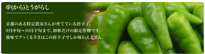 �h(����)�Ƃ����炵